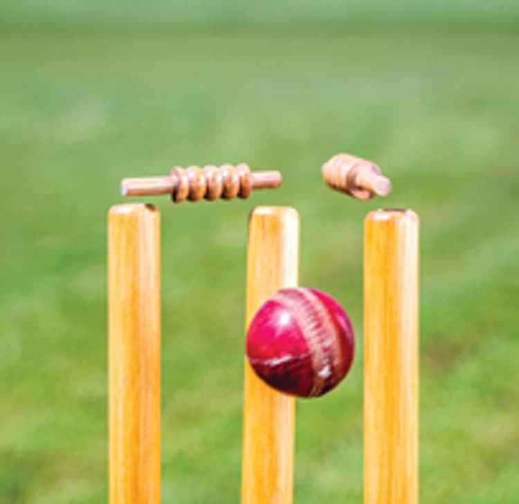 Cricket stumps knocked by bowl